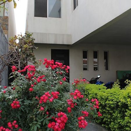 Consulado Suites Monterrey Dış mekan fotoğraf