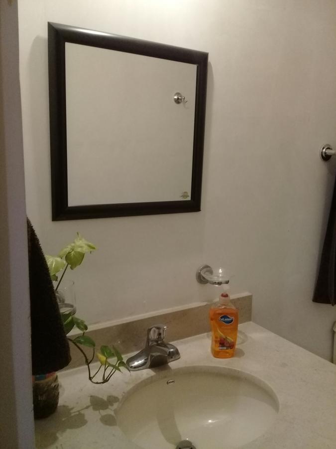 Consulado Suites Monterrey Dış mekan fotoğraf